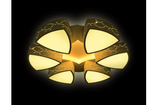 Накладная люстра Ambrella Light FG2066 WH 144W+21W D800