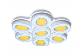 Накладной светильник Ambrella Light FS1587/7 364W D880*800
