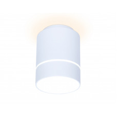 Накладной светильник Ambrella Light TN256