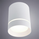 Накладной светильник ARTE Lamp A1909PL-1WH Накладной светильник ARTE Lamp A1909PL-1WH