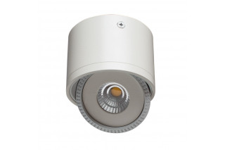 Накладной светильник ARTE Lamp A4105PL-1WH