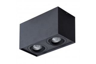 Накладной светильник ARTE Lamp A5544PL-2BK