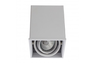 Накладной светильник ARTE Lamp A5942PL-1WH