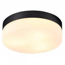 Накладной светильник ARTE Lamp A6047PL-3BK