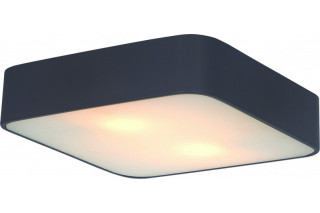 Накладной светильник ARTE Lamp A7210PL-2BK