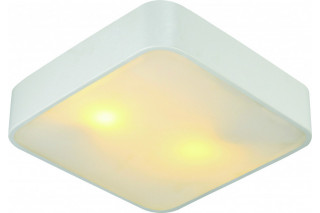 Накладной светильник ARTE Lamp A7210PL-2WH