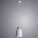 Подвесной светильник ARTE Lamp A5167SP-1WH Подвесной светильник ARTE Lamp A5167SP-1WH