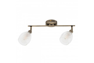 Спот ARTE Lamp A3184PL-2AB