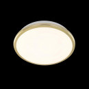 Citilux CL702162W Citilux CL702162W