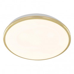 Citilux CL702302W