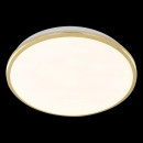 Citilux CL702302W Citilux CL702302W
