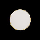 Citilux CL702302W Citilux CL702302W