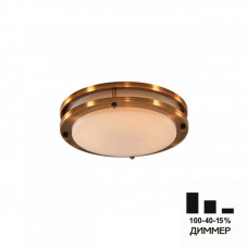 Накладной светильник Citilux CL709203N