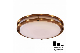 Накладной светильник Citilux CL709503N
