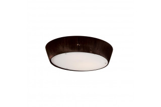 Накладной светильник Citilux CL913142