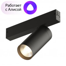 Светильник на шине Denkirs DK8020-BK