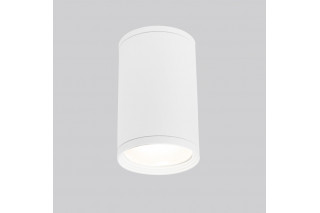 Elektrostandard Light 2101 (35128/H) белый