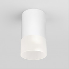 Elektrostandard Light LED 2106 (35139/H) белый