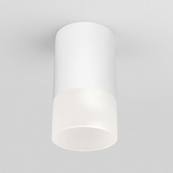 Elektrostandard Light LED 2106 (35139/H) белый