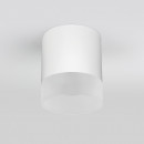  Elektrostandard Light LED 2107 (35140/H) белый