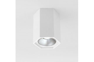 Накладной светильник Elektrostandard 25036/LED 7W 4200K белый матовый/серебро