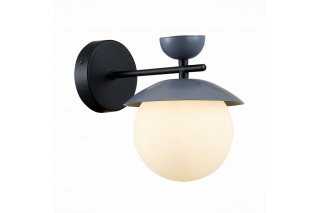 Бра Evoluce SLE220201-01