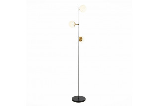 Торшер Evoluce SLE220405-03