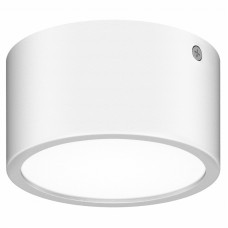 Lightstar 380164