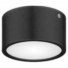 Lightstar 380174