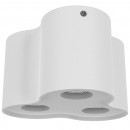 Накладной светильник Lightstar 052036 Накладной светильник Lightstar 052036