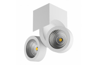 Накладной светильник Lightstar 055363