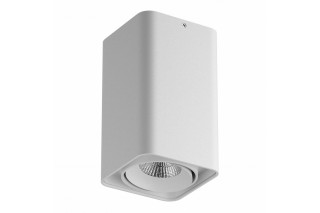 Влагозащищенный светильник Lightstar 052136