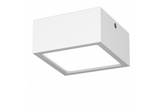 Влагозащищенный светильник Lightstar 213926