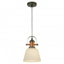 Подвесной светильник LOFT LSP-9846 Подвесной светильник LOFT LSP-9846