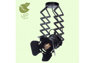 Спот LOFT GRLSP-9702