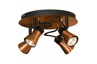 Спот LOFT LSL-6801-04