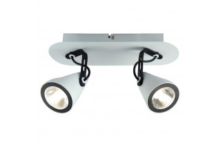 Спот LOFT LSN-4101-02