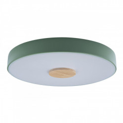 Детский светильник LOFT IT 10003/24 Green