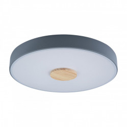 Накладной светильник LOFT IT 10003/24 Grey