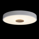 Накладной светильник LOFT IT 10003/24 White Накладной светильник LOFT IT 10003/24 White