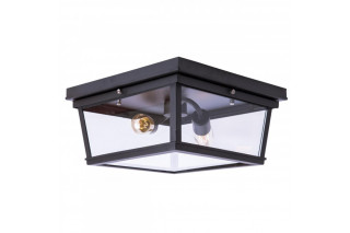 Накладной светильник LOFT IT LOFT3110-2C