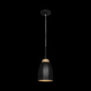 Подвесной светильник LOFT IT LOFT4402A-BL Подвесной светильник LOFT IT LOFT4402A-BL