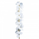 Торшер LOFT IT 10008F white Торшер LOFT IT 10008F white