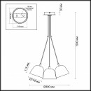 Подвесная люстра LUMION 4455/3 Подвесная люстра LUMION 4455/3
