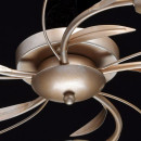 Накладная люстра MW-Light 242016205 Накладная люстра MW-Light 242016205