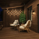  Novotech 358289