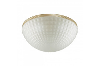Накладной светильник Odeon Light 4936/4C