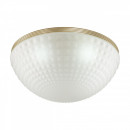 Накладной светильник Odeon Light 4936/4C