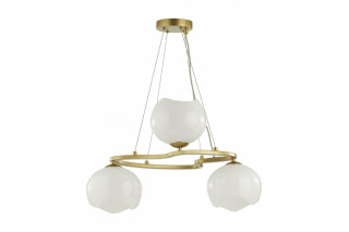 Подвесная люстра Odeon Light 4873/3