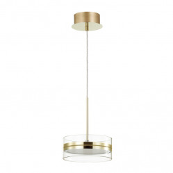 Подвесной светильник Odeon Light 4729/14L
